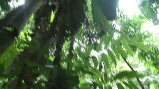 Paddy O’Brian Ravages Diego Lauzen