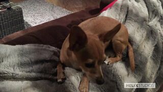 In the Flesh - Jessie Montgomery, Lukas Grande