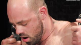 Pumped, Pissed & Pounded: Rogue Status & George Ce