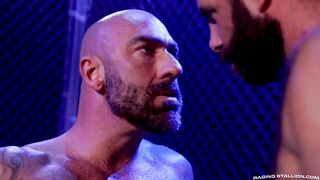 Raging Stallion - Cock Hunter