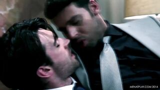 Diary of a Fox - Wednesday